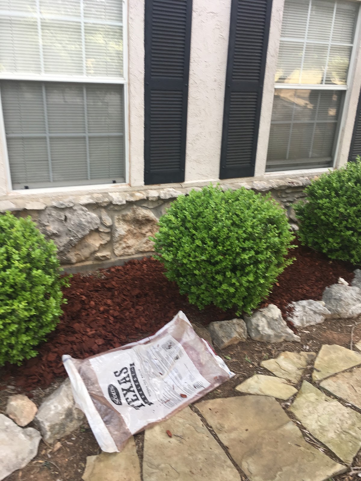 Trimmed bushes with fresh red mulch and stone edging