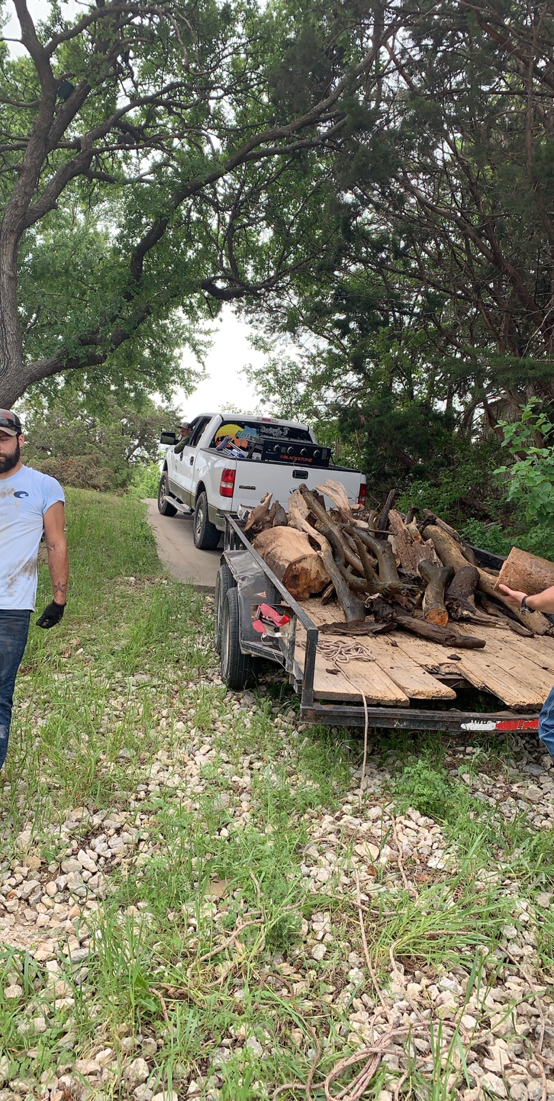 Truck and trailer loaded with tree debris after removal
